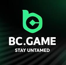 Understanding the BC.Game KYC Verification Process A Comprehensive Guide -251159405 Understanding the BC.Game KYC Verification Process A Comprehensive Guide -251159405